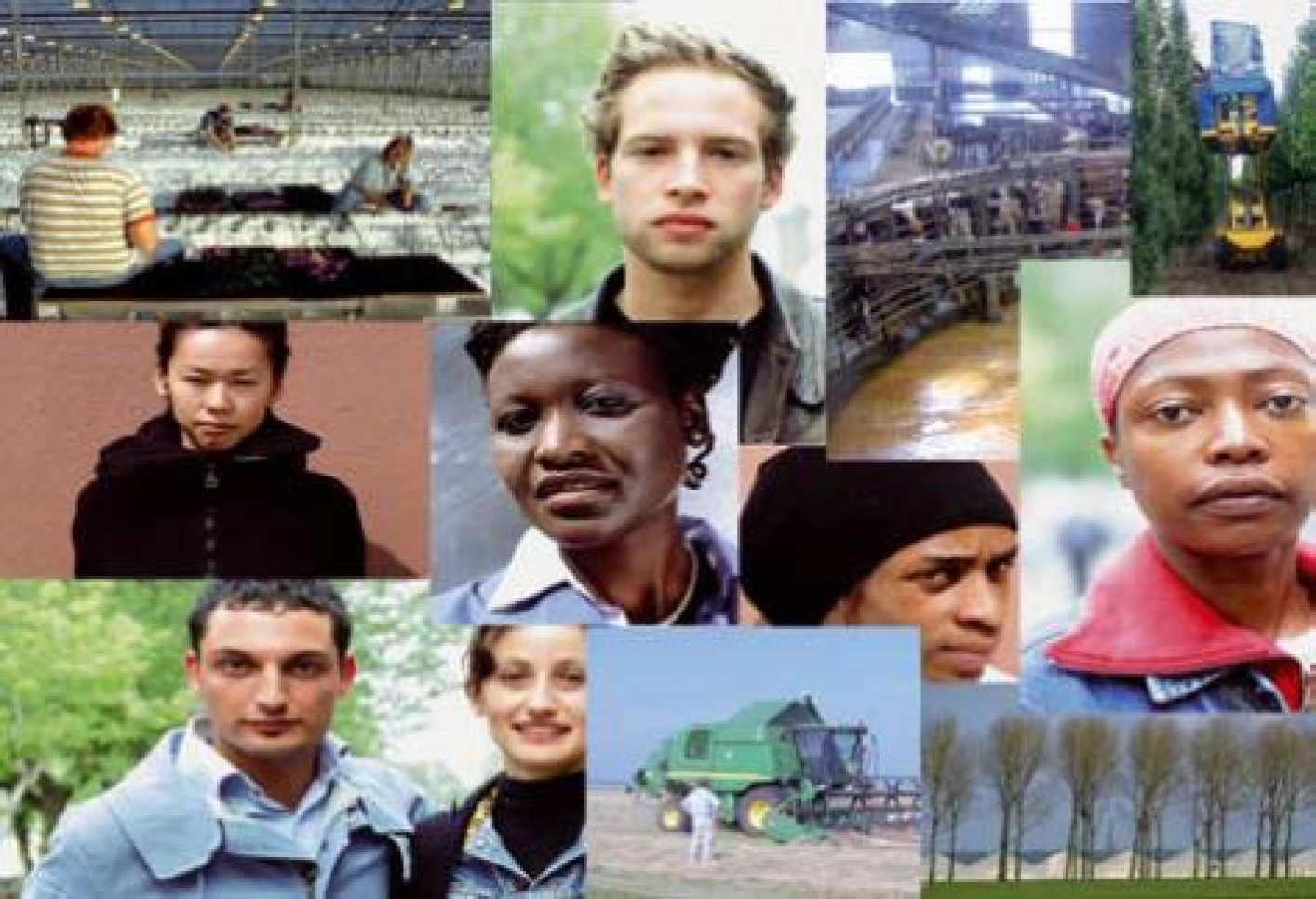 Foto multiculturaliteit op de groene arbeidsmarkt