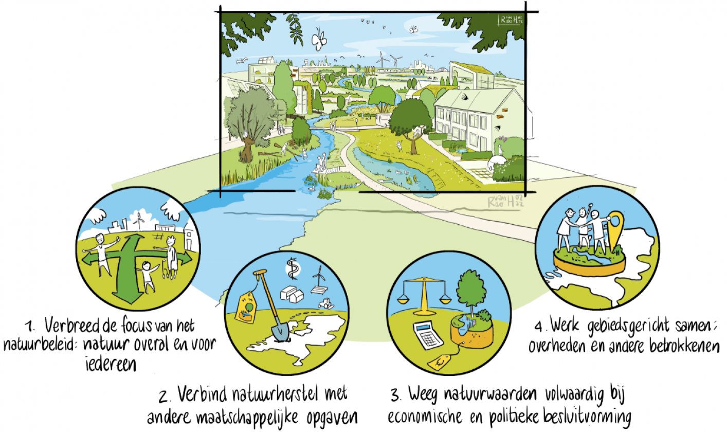 Vier oplossingsrichtingen zorgen voor biodiversiteitsherstel in Nederland- aanbeveling 4 advies Natuurinclusief Nederland