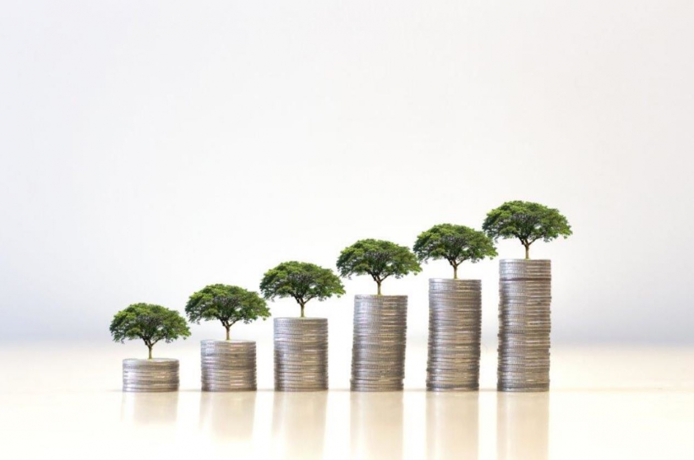 foto van zes stapeltjes munten waar groene boompjes op groeien