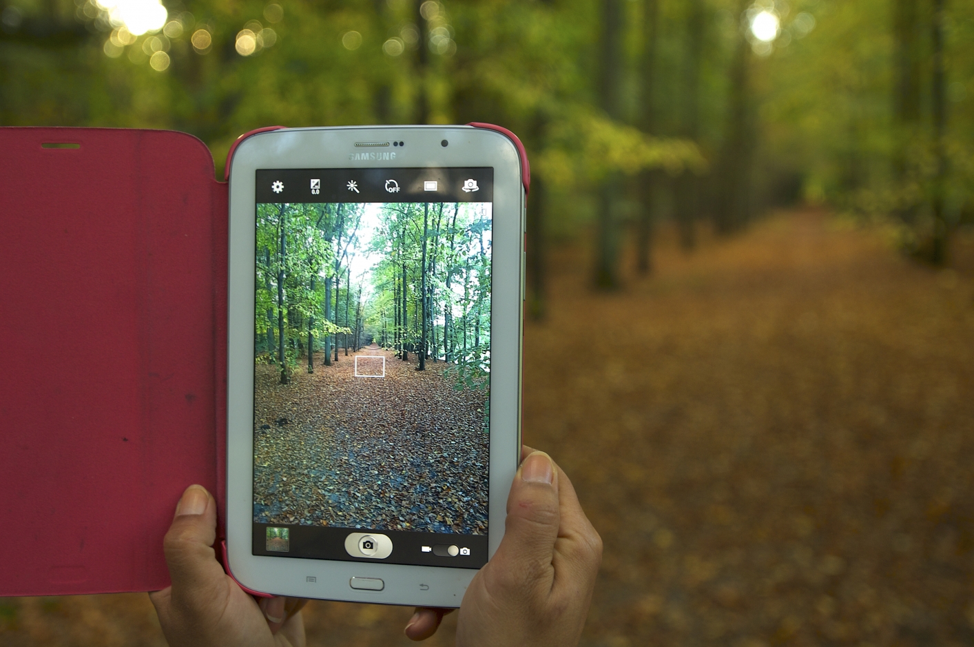foto van een bos op een tablet