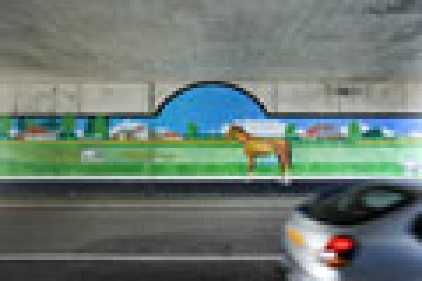 Verlangen naar landschap - Muurschildering in tunnel, Groningen